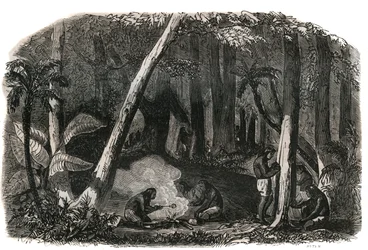 Cosecha de caucho en los bosques de Brasil